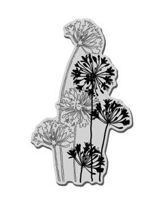 Stampendous Cling Stamp 4.75"X4.5"-Agapanthus Cluster