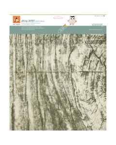 Arc Crafts BARC Wood Sheet W/Adhesive Backing 12"X12"-Rustic White Birch