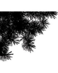 Penny Black Mounted Rubber Stamp 3.25"X3.75"-Pine Silhouettes