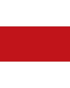 Testors Enamel Paint .25oz-Stop Light Red Metallic