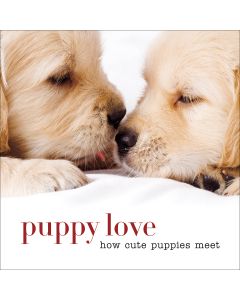 Sterling Publishing-Puppy Love How Cute Puppies Meet