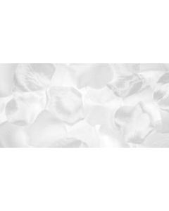 Darice Victoria Lynn Satin Rose Petals 300/Pkg-White