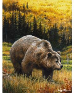 The Northwest Company Hautman Bros - Grizzly Hautman Bros. 60"x 80" Super Plush Throw