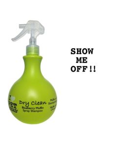 Pet Head Dry Clean Spray Shampoo Blueberry Muffin 15oz 8" x 3.5" x 3.5"