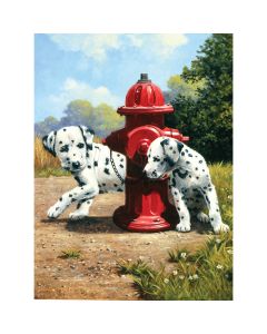 Royal Brush Junior Small Paint By Number Kit 8.75"X11.75"-Peek-A-Boo