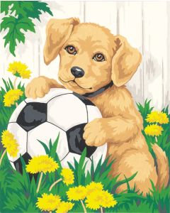 Dimensions Paint Works Paint By Number Kit 8"X10"-Puppy & Soccer Ball
