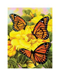 Royal Brush Junior Small Paint By Number Kit 8.75"X11.75"-Majestic Monarchs
