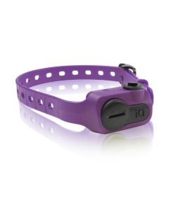 Dogtra iQ No Bark Collar Orange