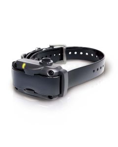 Dogtra No Bark Dog Collar