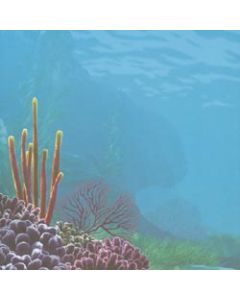 Trends International Disney Finding Nemo Paper 12"X12"-Underwater Left