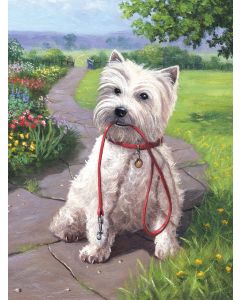 Royal Brush Junior Small Paint By Number Kit 8.75"X11.75"-Time For A Walk