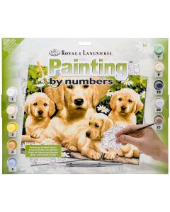 Royal Brush NEW! Junior Large Paint By Number Kit 15.25"X11.25"-Golden Retriever