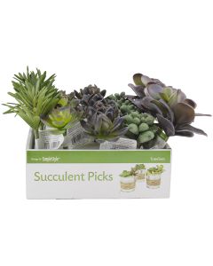 Floracraft Succulent Picks Display-Small