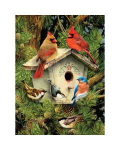 Royal Brush Junior Small Paint By Number Kit 8.75"X11.75"-Native Neighbors