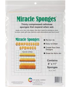 Color Wheel Compressed Sponges 2/Pkg-8"X11"