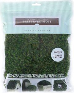 Quality Growers Preserved Mood Moss 112.5 Cubic Inches-