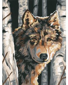 Dimensions Paint Works Paint By Number Kit 9"X12"-Wolf Among Birches