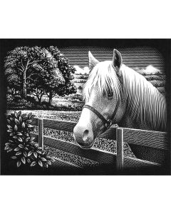 Reeves Silver Scraperfoil Kit 8"X10"-Pony