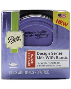 Loew-Cornell Ball Design Series Lids & Bands 6/Pkg-Regular Mouth Purple