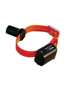 D.T. Systems Baritone Dog Beeper Collar Orange