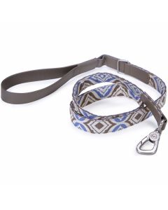 Worldwise Loved Ones Fashion Dog Leash 6'-Blue