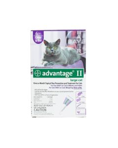 Advantage Flea Control for Cats and Kittens Over 9 lbs 6 Month Supply