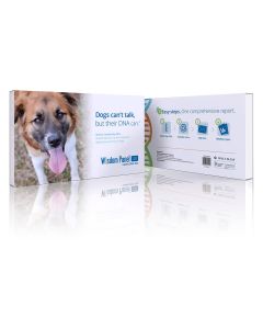 Mars Veterinary Wisdom Panel 3.0 Canine DNA Test