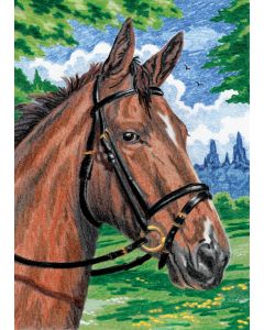 Royal Brush Mini Color Pencil By Number Kit 5"X7"-Horse