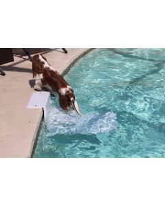 Fido Pet Products PoolPup Steps-4 To 150 lbs