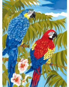 Royal Brush Junior Small Paint By Number Kit 8.75"X11.75"-Parrots