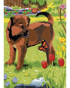 Royal Brush Mini Color Pencil By Number Kit 5"X7"-Puppy & Butterfly