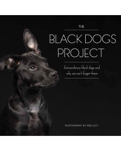 Quayside Publishing Race Point Publishing Books-The Black Dogs Project