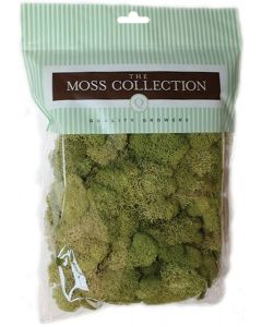 Quality Growers Preserved Reindeer Moss 108.5 Cubic Inches-Spring Green