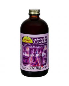 Dynamic Health Lactobacillus Acidophilus Black Cherry - 16 fl oz