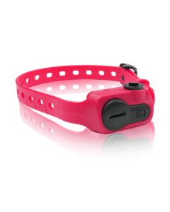 Dogtra iQ No Bark Collar Pink
