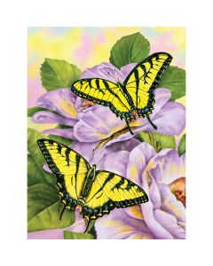 Royal Brush Junior Small Paint By Number Kit 8.75"X11.75"-Swallowtail Butterflies