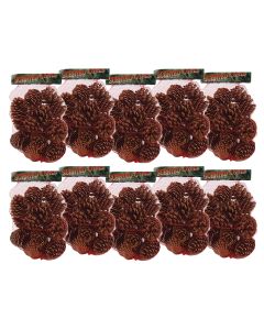 Winter Woods Cinnamon Scented Pinecones 12-14/Pkg-Large