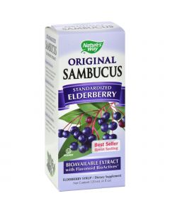 Nature's Way Sambucus Original Syrup - 4 fl oz