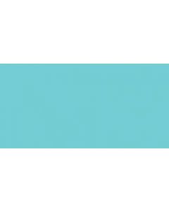 Clearsnap ColorBox Pigment Cat's Eye Ink Pad-Aqua