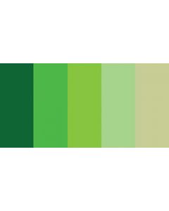 Quilled Creations Quilling Paper Mixed Colors .125" 100/Pkg-Greens (5 Colors) - Quilling Paper Mixed Colors .125" 100/Pkg-Greens (5 Colors)