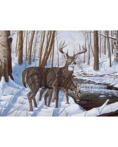 Royal Brush Paint By Number Kit 15.375"X11.25"-Winter Bliss