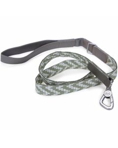 Worldwise Loved Ones Fashion Dog Leash 6'-Green