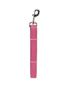 Cape Hobbycraft Dog Leash 6' Pink W/Nickel Plated Swivel Hook-1" Width