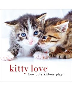Sterling Publishing-Kitty Love How Cute Kittens Play