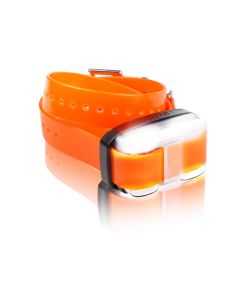 Dogtra EDGE 1 Mile Extra Dog Collar Orange