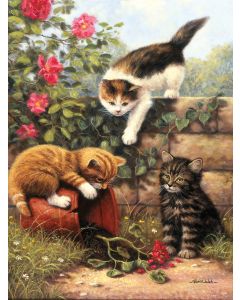 Royal Brush Junior Small Paint By Number Kit 8.75"X11.75"-Kittens At Play