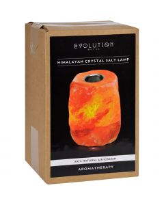 Evolution Salt Crystal Salt Lamp - Aromatherapy - 1 Count