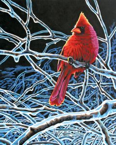 Dimensions Paint Works Paint By Number Kit 11"X14"-Ice Cardinal