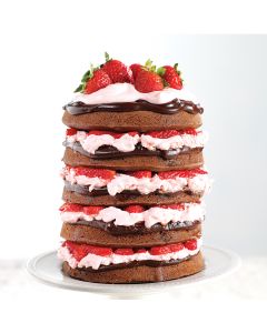 Wilton 5-Layer Cake Pan Set 5/Pkg-Round 6"X6"X.75"