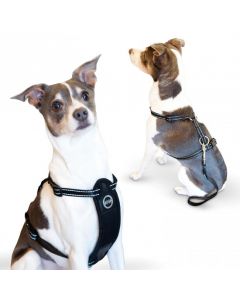 K&H Pet Products Travel Safety Pet Harness Large Black